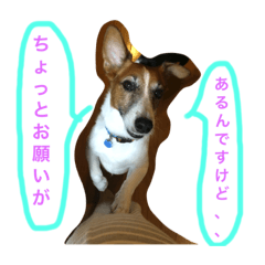 Akiko_20190917205132