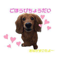 sei_20190917220951