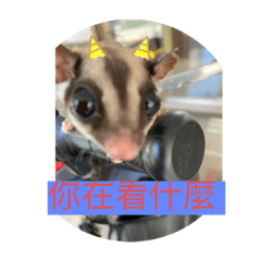 baby小日記