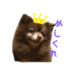 kaito_20190917220321