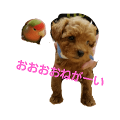 minami_20190917220414