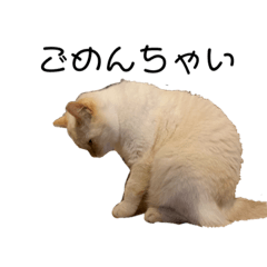 nico_20190917223412