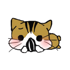動物呀