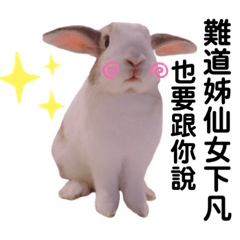 BunnyBambi chat with you