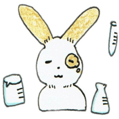 研究室に住むうさぎ