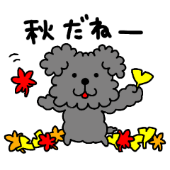 Toy poodle Autumn sticker