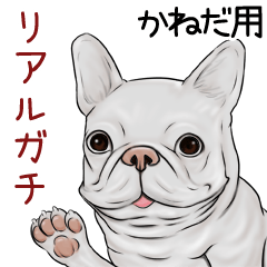 Kaneda Real Gachi Pug & Bulldog