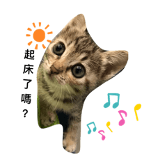 mini玩耍