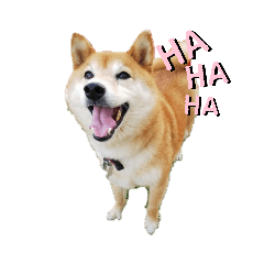 yukari_20190918114223