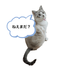 kanako_20190918134411