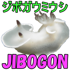 Cute [JIBOGON] sea slug(nudibranch)