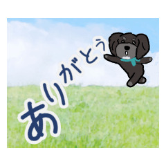 olive_20190917213304