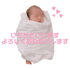 hello myname is ICHIKA