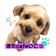 iku_20190917233327