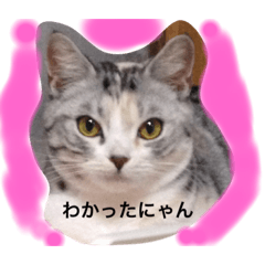 bubu_20190918150509