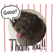 moka_20190918195307