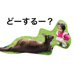 useful stickers for family4