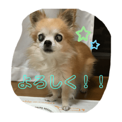 sumire_20190918215112