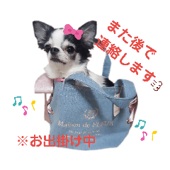 kiyo_20190919004047