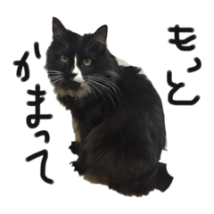 asuka_20190919013037