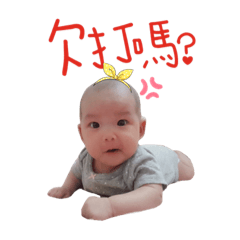 茜茜日常用語
