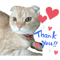 hikari_2019091903403435