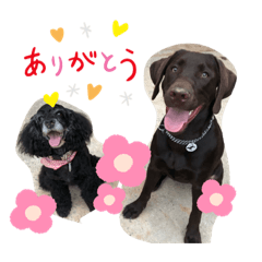 hisa_20190919052351