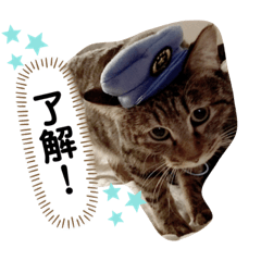 chan_20190919095548