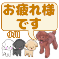 Ogawa's. letters toy poodle
