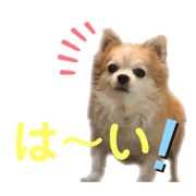 roco._.moco_20190919121138