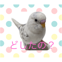 Pi_2019091914142424