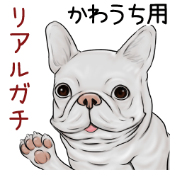 Kawauchi Real Gachi Pug & Bulldog