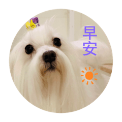 Jimmy貼圖