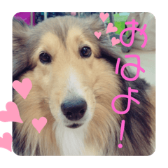 ayumi_20190919124344