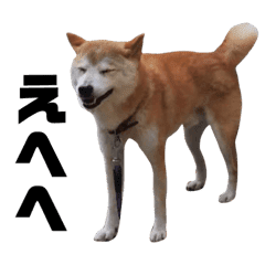 柴犬 Lineクリエイターズスタンプまとめ Stamplist Part 3