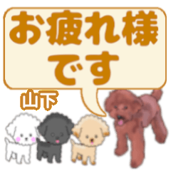 Yamashita's. letters toy poodle