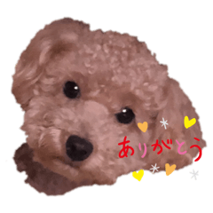 asuka_20190919130348