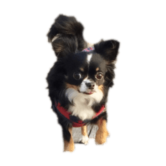 RAN_20190919150107