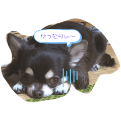 kazuki_20190919150643