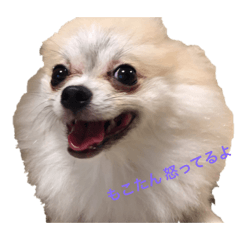 miyabi_20190919130706