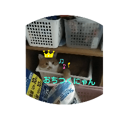 HA_20190919174718