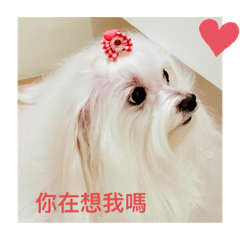 Anita漂亮妹妹
