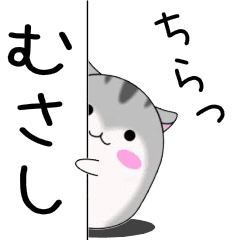 Move! Musashi designated name Sticker