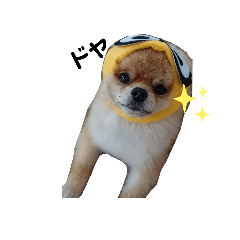 Hikaru_20190919212638