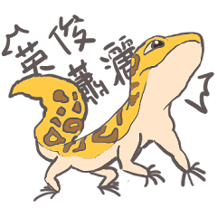gecko papa02