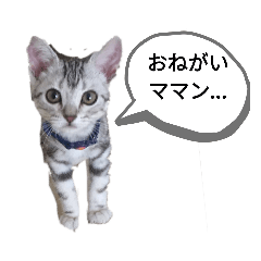 Hayato_20190919210717