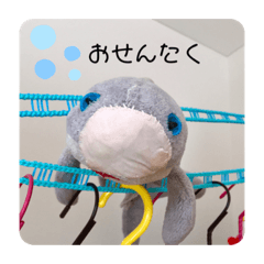ton_20190919212636
