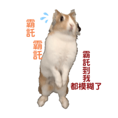 有個女孩叫ㄉㄨㄞㄉㄨㄞ