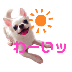 chi_20190919171418