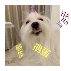 Lydia少女